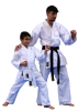 Karate Shugyo Basic