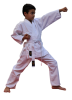 Karate Shugyo Basic