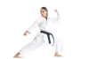 Karategi Ko Elegant Kata WKF
